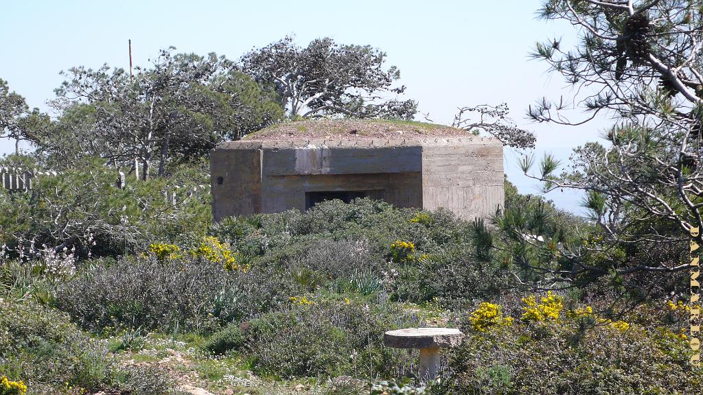 ORAN MARS 2012 20 DEPUIS LES HAUTEURS DU MURDJADJO LE BUNKER.JPG